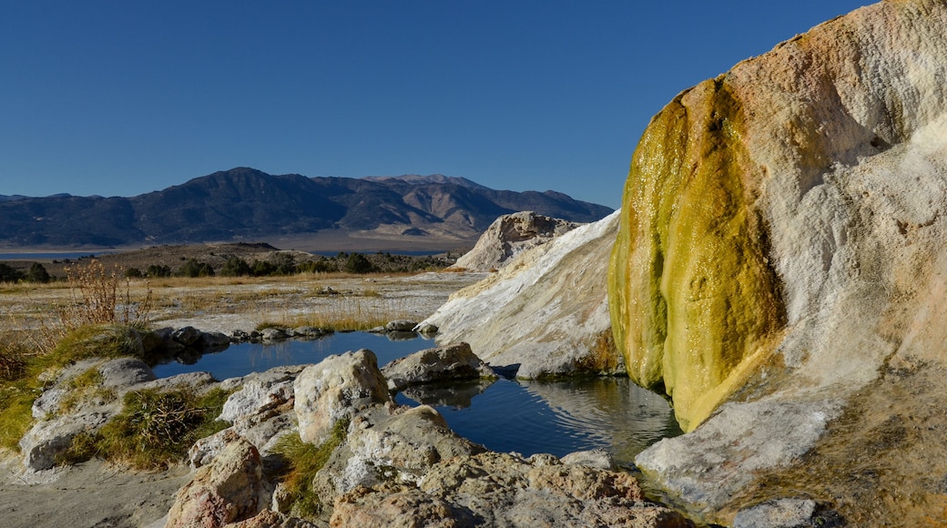 Mono Hot Springs