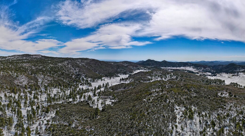 Mount laguna CA snow