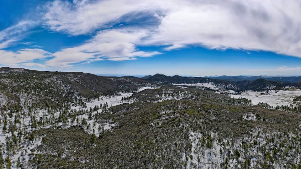 A mountainous landscape with snow-covered trees and a clear sky.