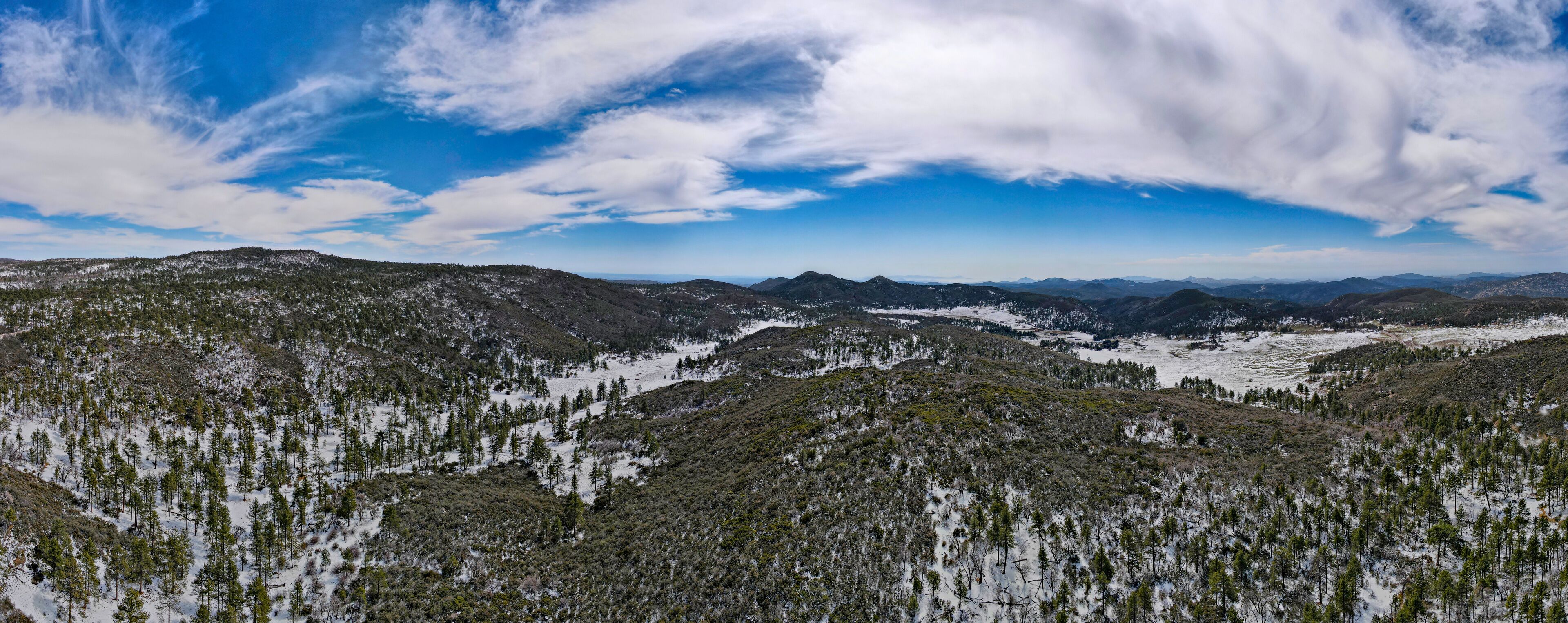 A mountainous landscape with snow-covered trees and a clear sky.