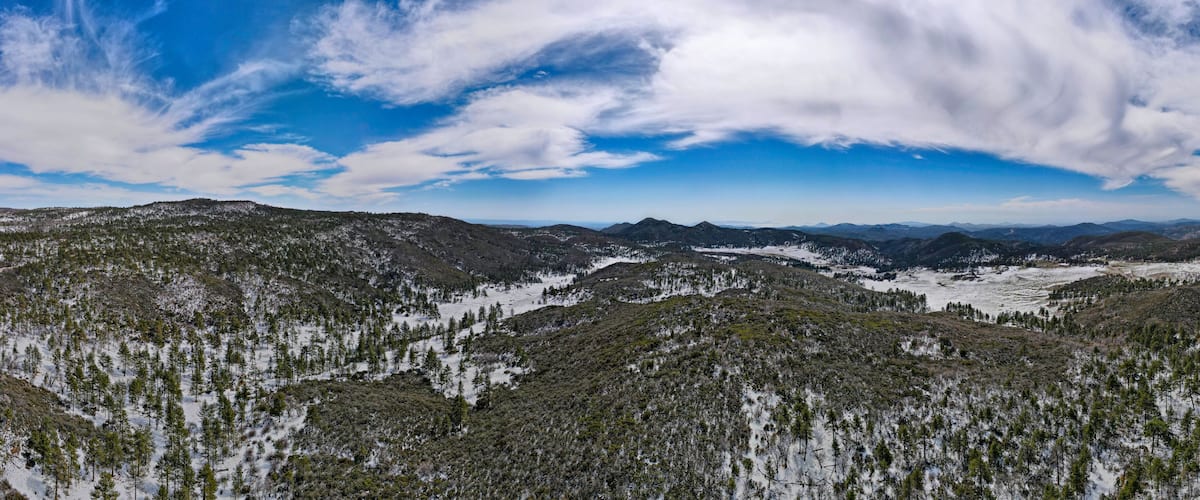 A mountainous landscape with snow-covered trees and a clear sky.