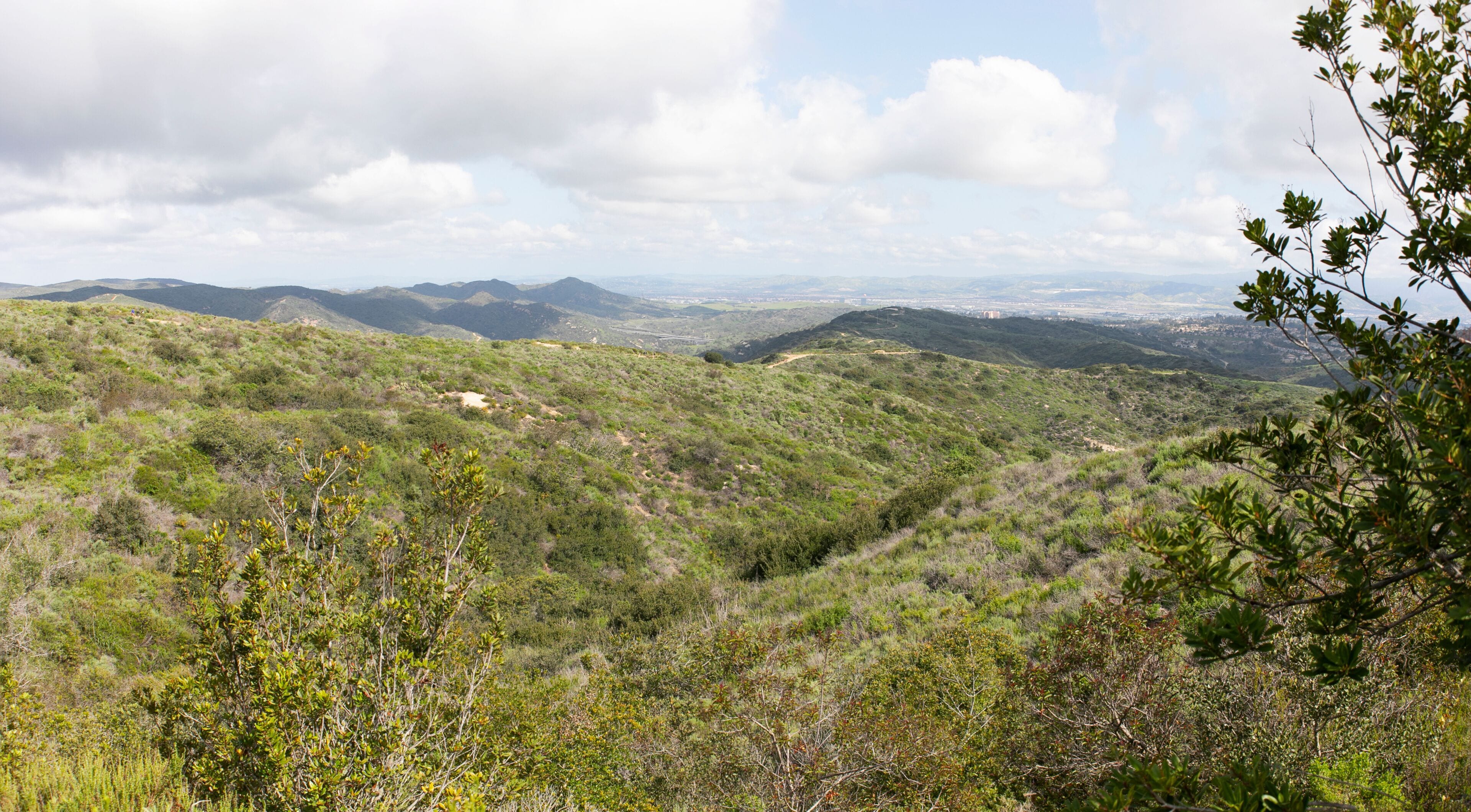 Aliso & Woods Canyon Wilderness trail in the spring after a rainy season, Laguna Beach, CA hiking trails.