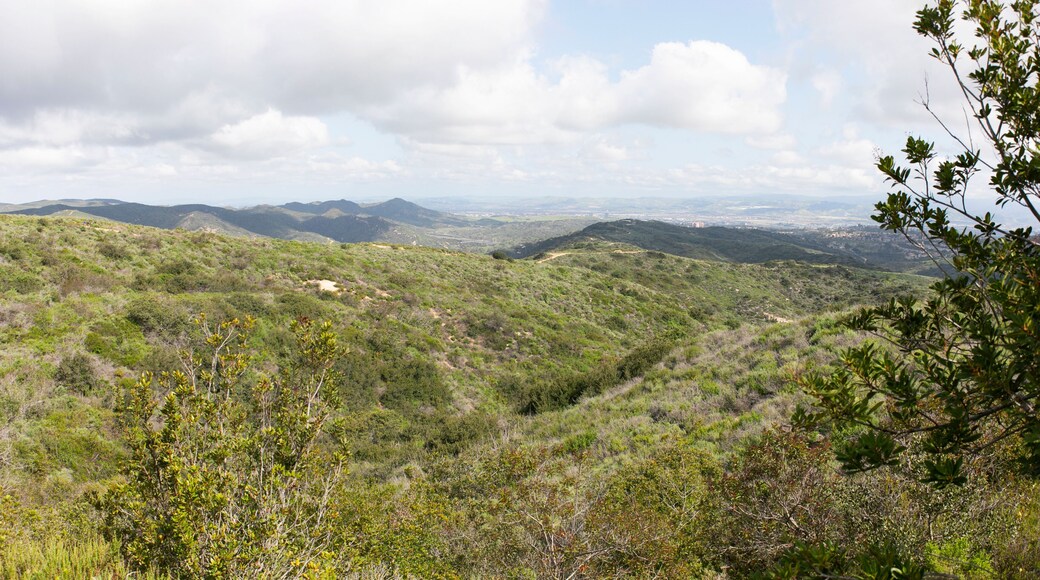 Aliso & Woods Canyon Wilderness trail in the spring after a rainy season, Laguna Beach, CA hiking trails.