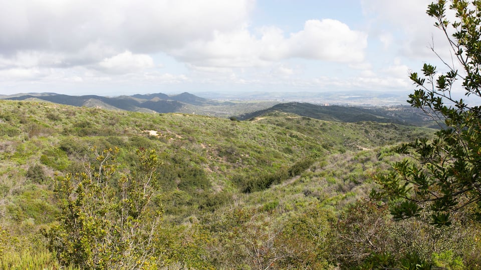 A mountainous landscape with dense vegetation and distant city views.