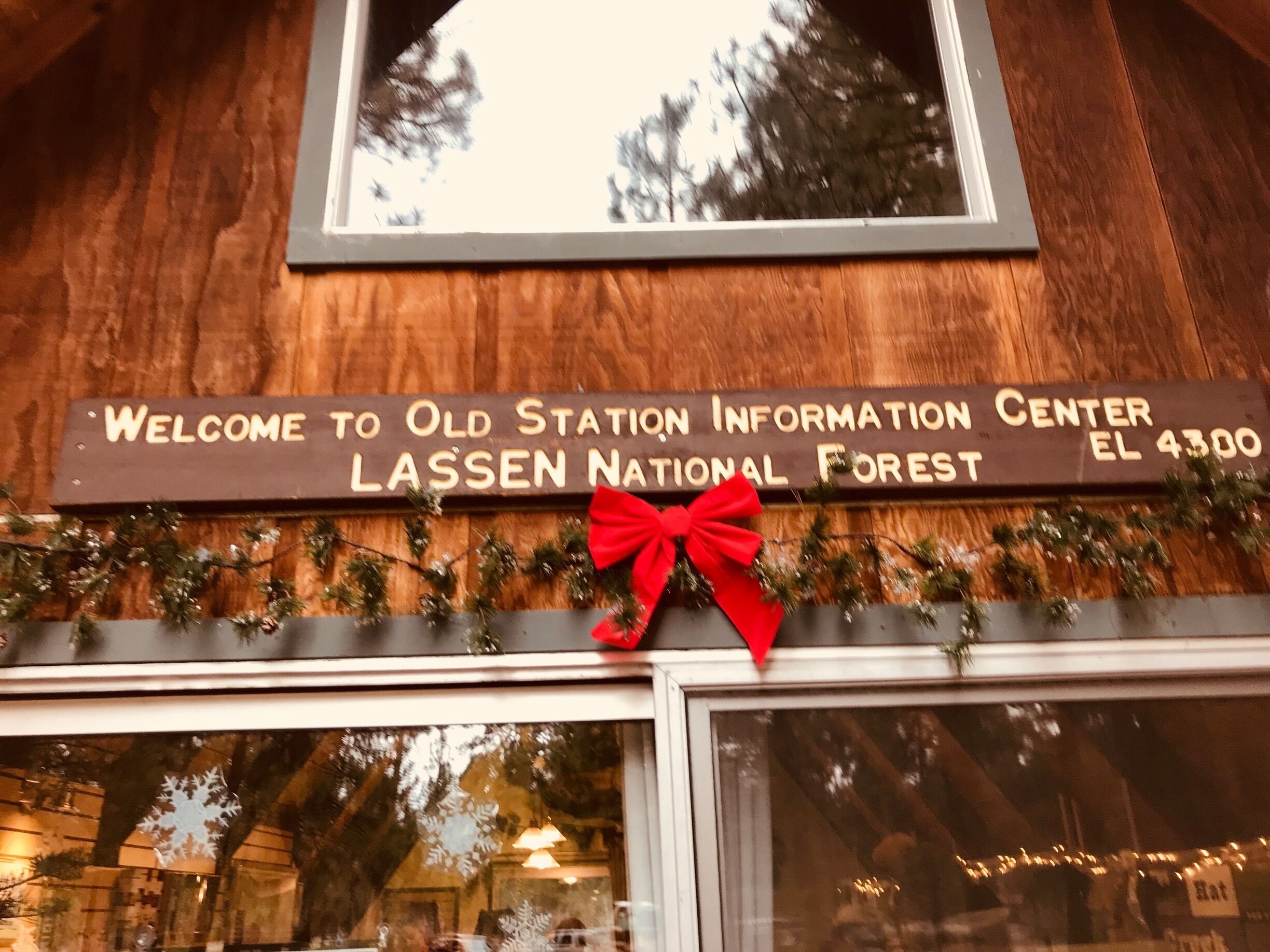 At Christmas this is where you go for your $10 tree permit to cut down on forestry land #Red