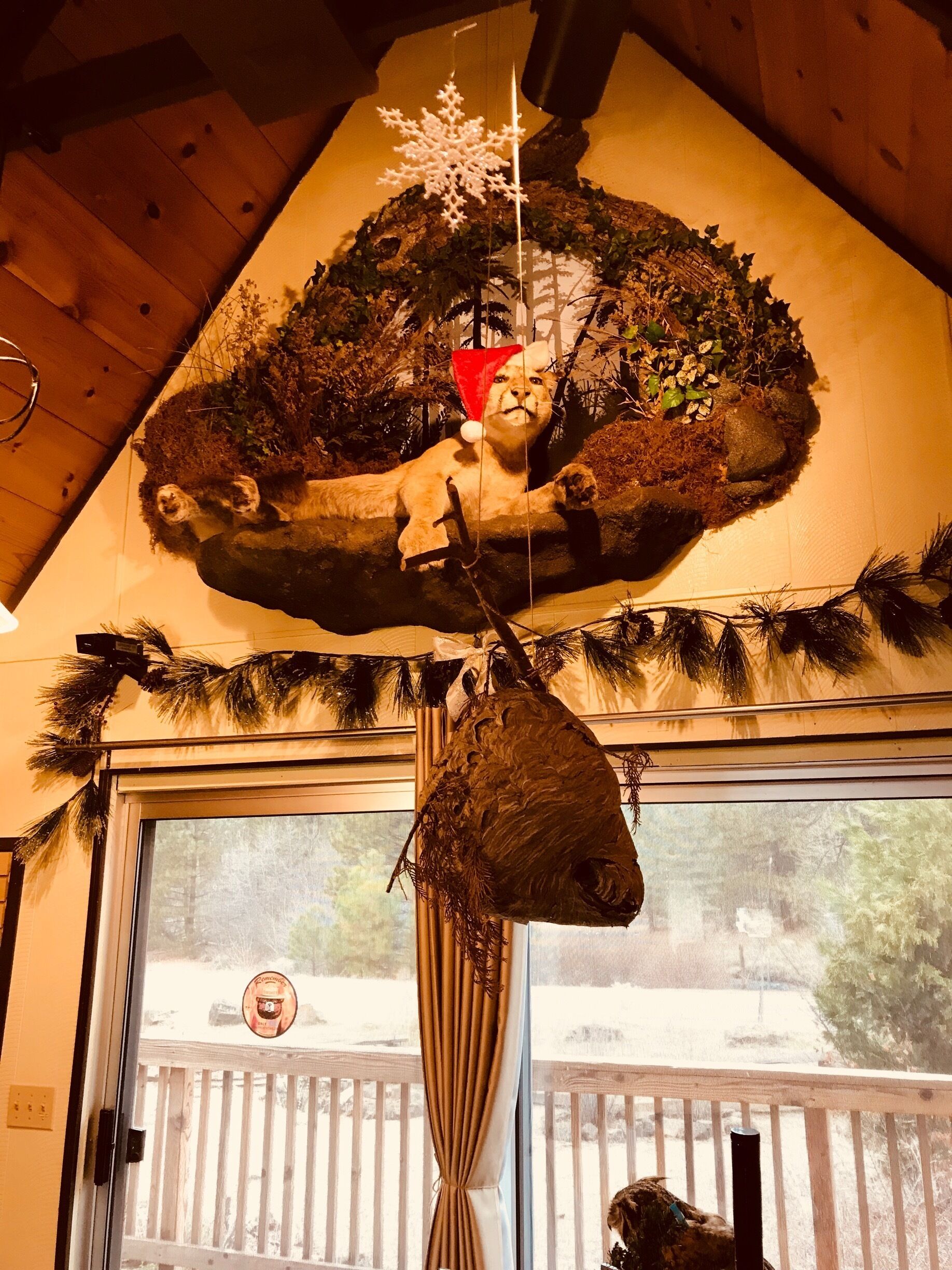 Where else can you find a mountain lion in a Santa hat #Red