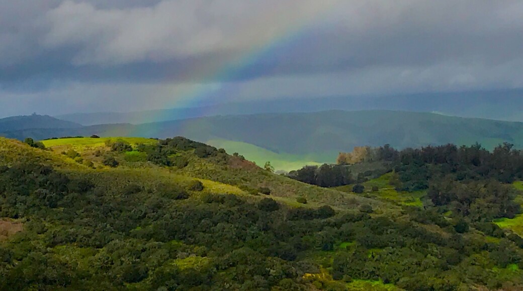 This lovely view was taken from a private road on Orcutt Hill during a break in this weeks storms. I’ve never been to Ireland (yet!) but this is what I imagine it to look like in my minds eye.