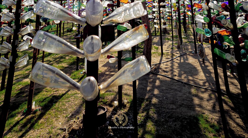 2020 of Feb 15th - Elmer's Bottle Tree Ranch, Oro Grande, California