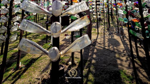 2020 of Feb 15th - Elmer's Bottle Tree Ranch, Oro Grande, California