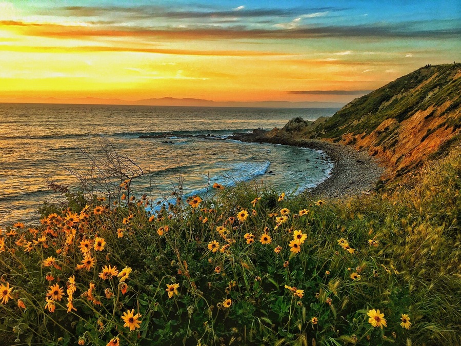 The shore glows at sunset in Palos Verdes, California
#green