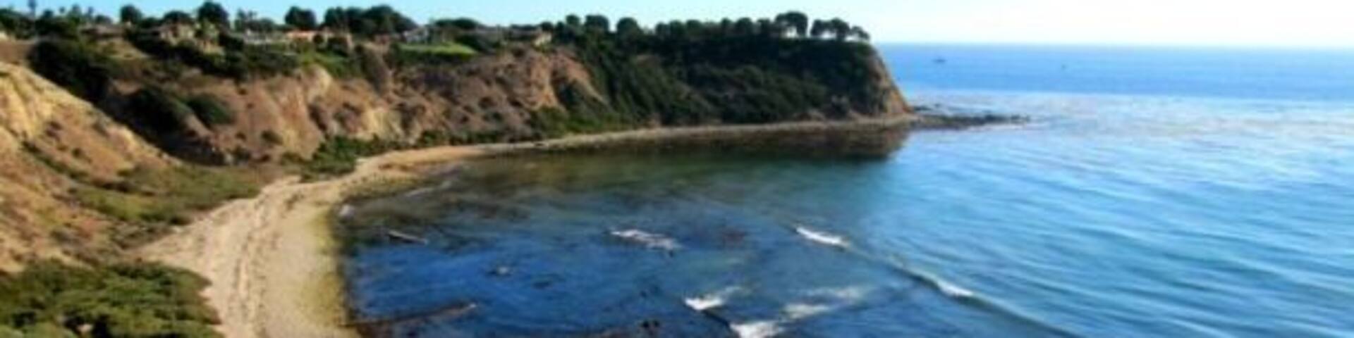 A coastal landscape with a curved shoreline, rocky beach, and a forested cliff.