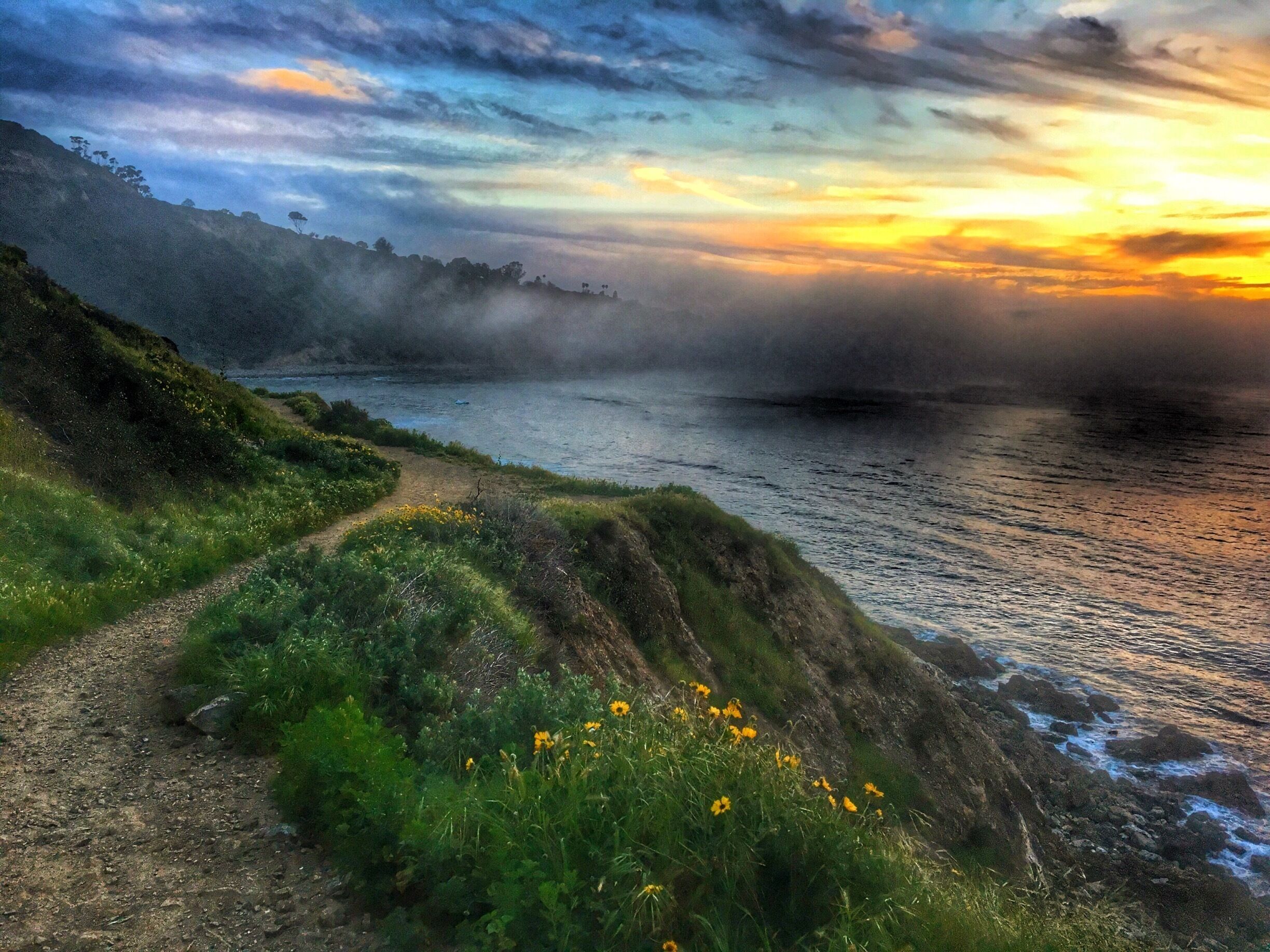 Mist rolling in just at sunset, Palos Verdes Peninsula, California. #green #mist #california