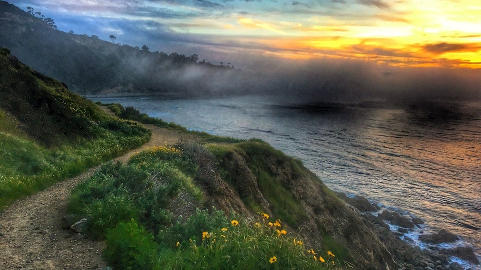 Mist rolling in just at sunset, Palos Verdes Peninsula, California. #green #mist #california