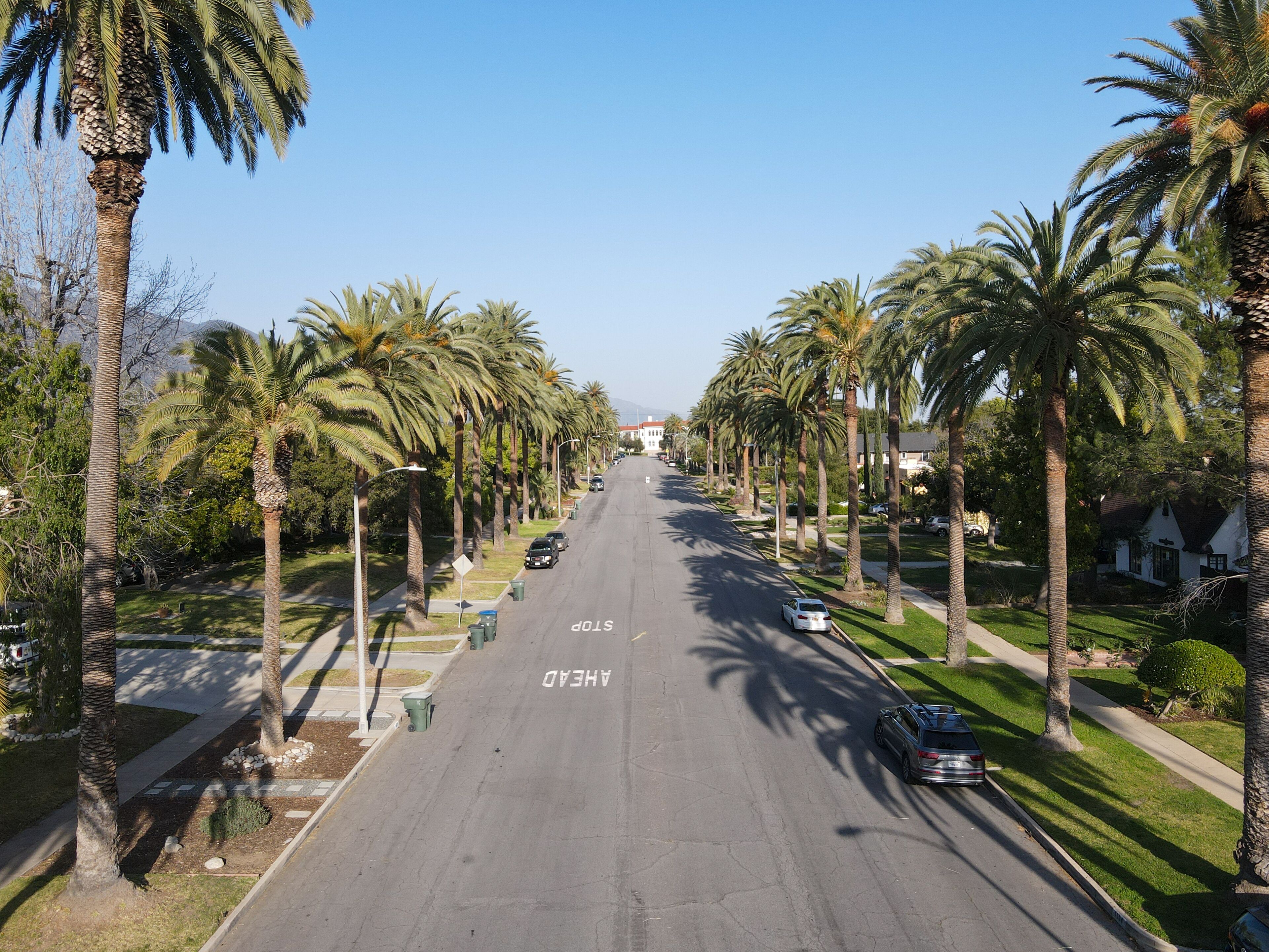 Aerial view of palm tree lined Street in Pasadena neighborhood in northeast of downtown Los Angeles, California, USA