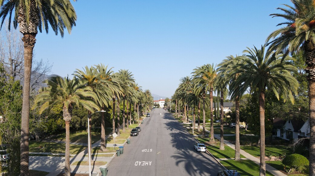 Aerial view of palm tree lined Street in Pasadena neighborhood in northeast of downtown Los Angeles, California, USA
