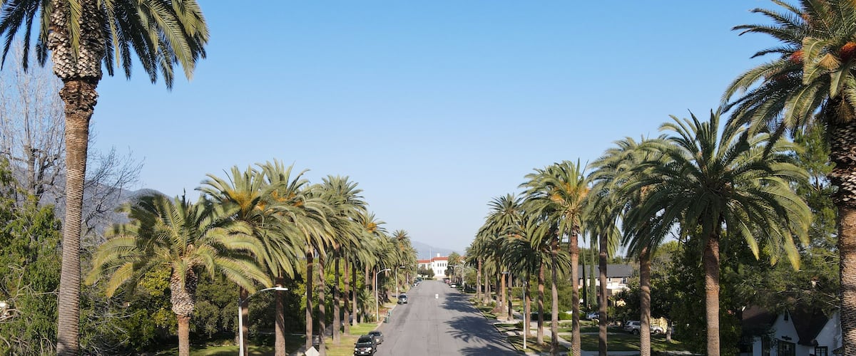 Aerial view of palm tree lined Street in Pasadena neighborhood in northeast of downtown Los Angeles, California, USA