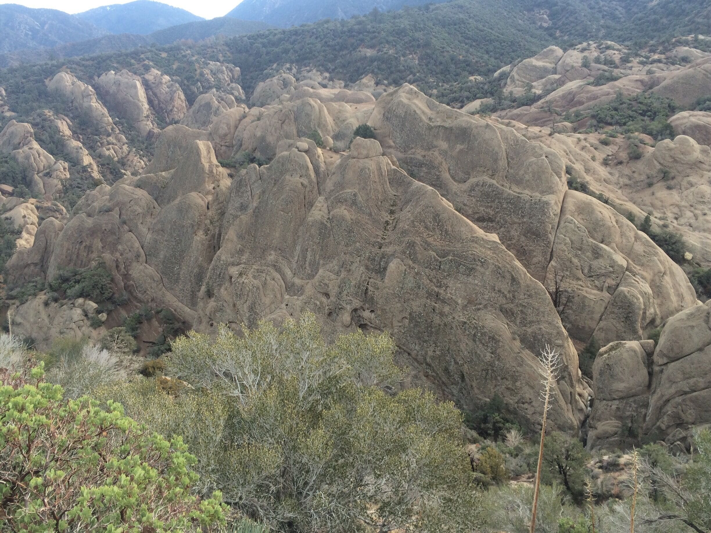 Seen on the way to the bowl. 