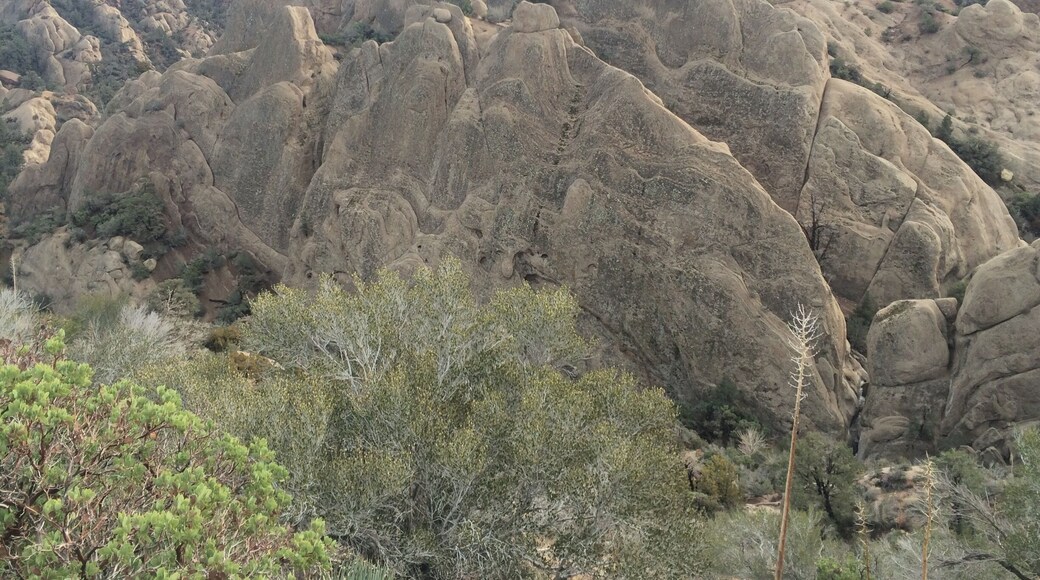 Seen on the way to the bowl.