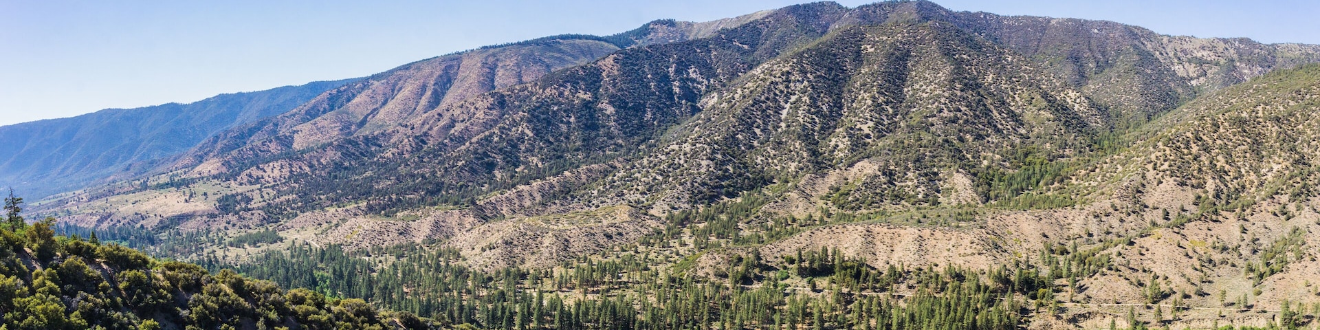 Vast valley and canyon covered in pine trees in the San Bernadino Mountains of southern California.