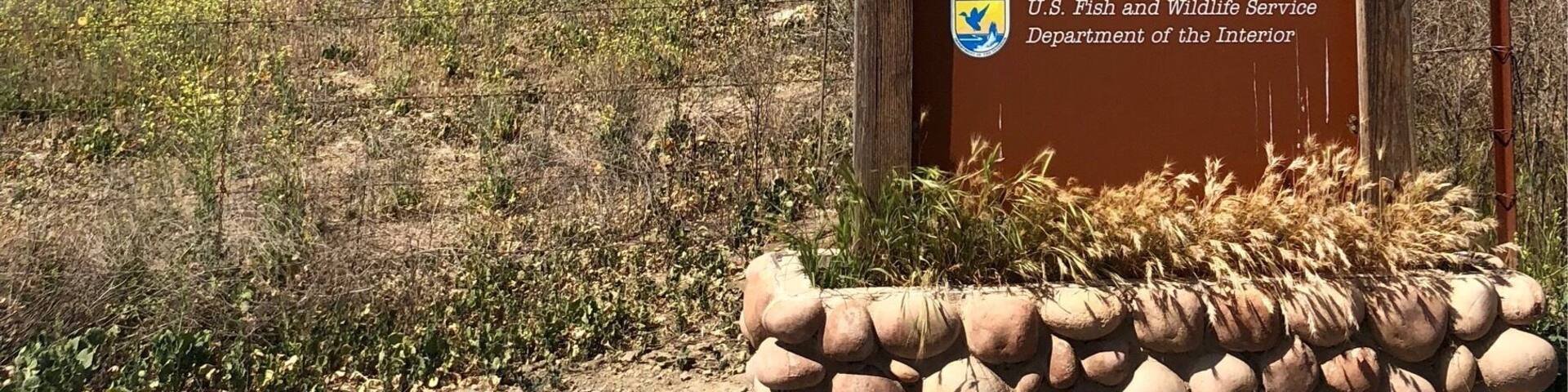 An important stop along the Sand Hill Cranes winter migratory route this NWR is also an oasis in the highly developed Central Valley for waterfowl and songbirds year round.