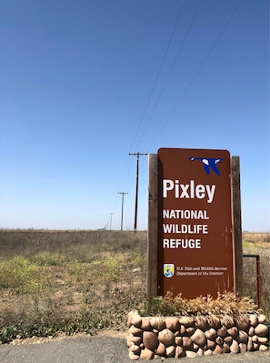 An important stop along the Sand Hill Cranes winter migratory route this NWR is also an oasis in the highly developed Central Valley for waterfowl and songbirds year round.