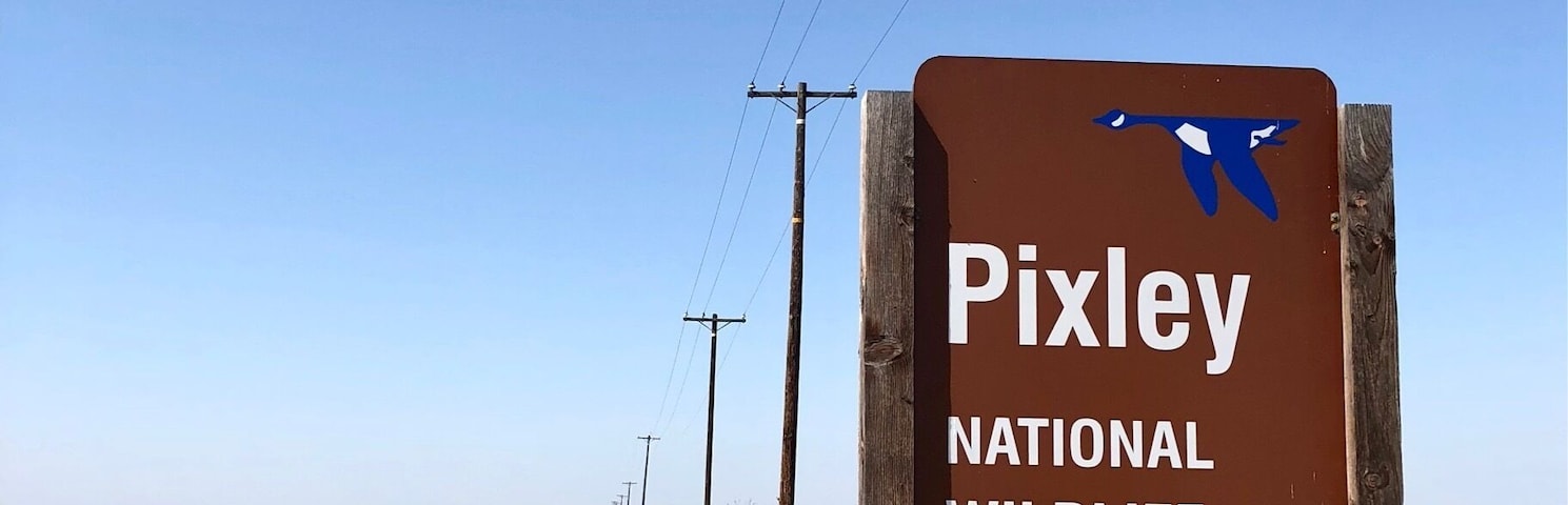 An important stop along the Sand Hill Cranes winter migratory route this NWR is also an oasis in the highly developed Central Valley for waterfowl and songbirds year round.