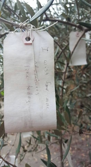 This tiny little town that had 2 stores and a hotel had an adorable wishing tree tucked away.