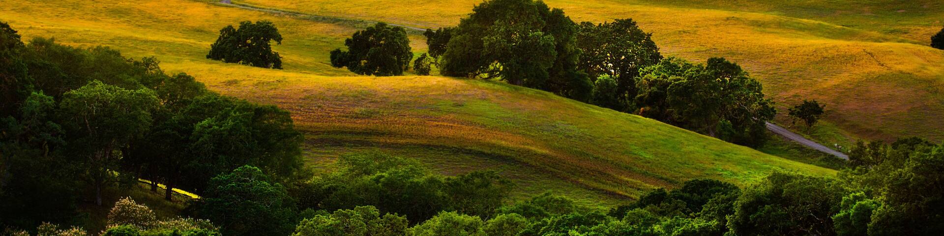 Fog streaming over rolling hills