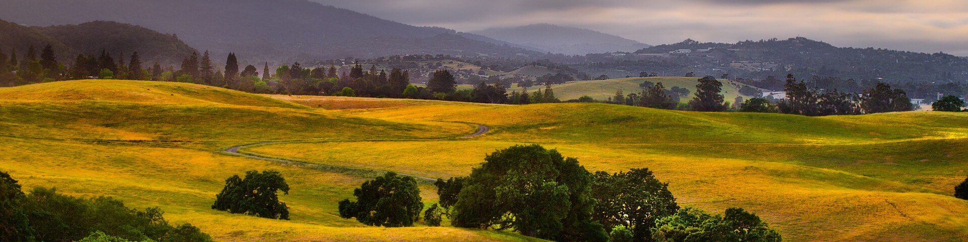 Fog streaming over rolling hills
