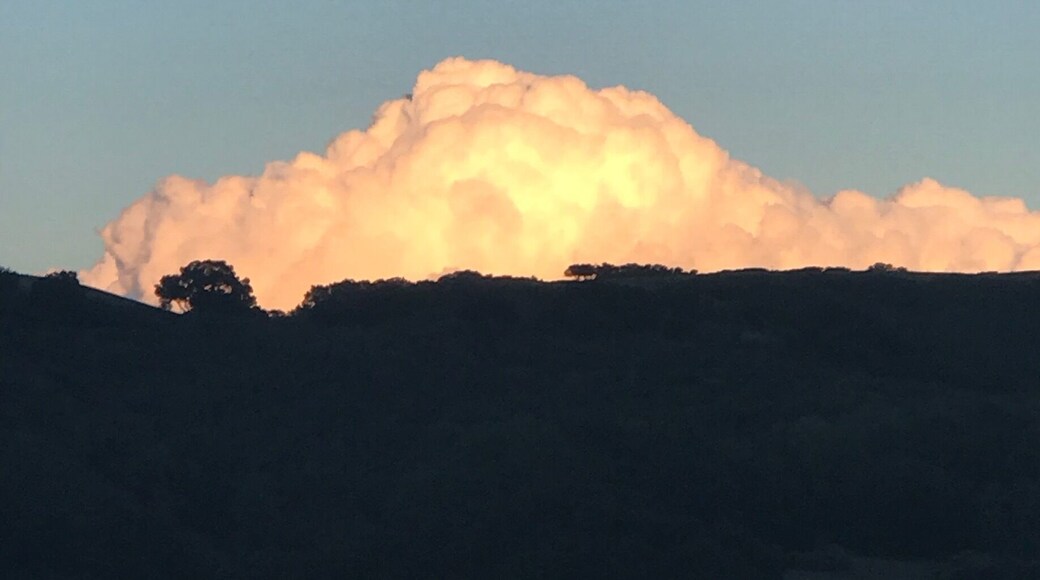 Los Trancos open space preserve!