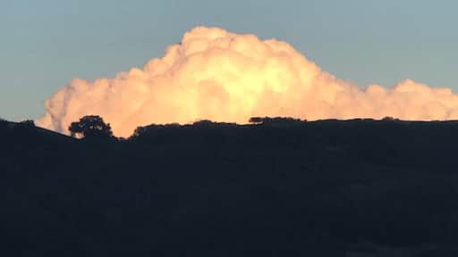 Los Trancos open space preserve!