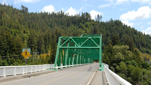 Road bridge