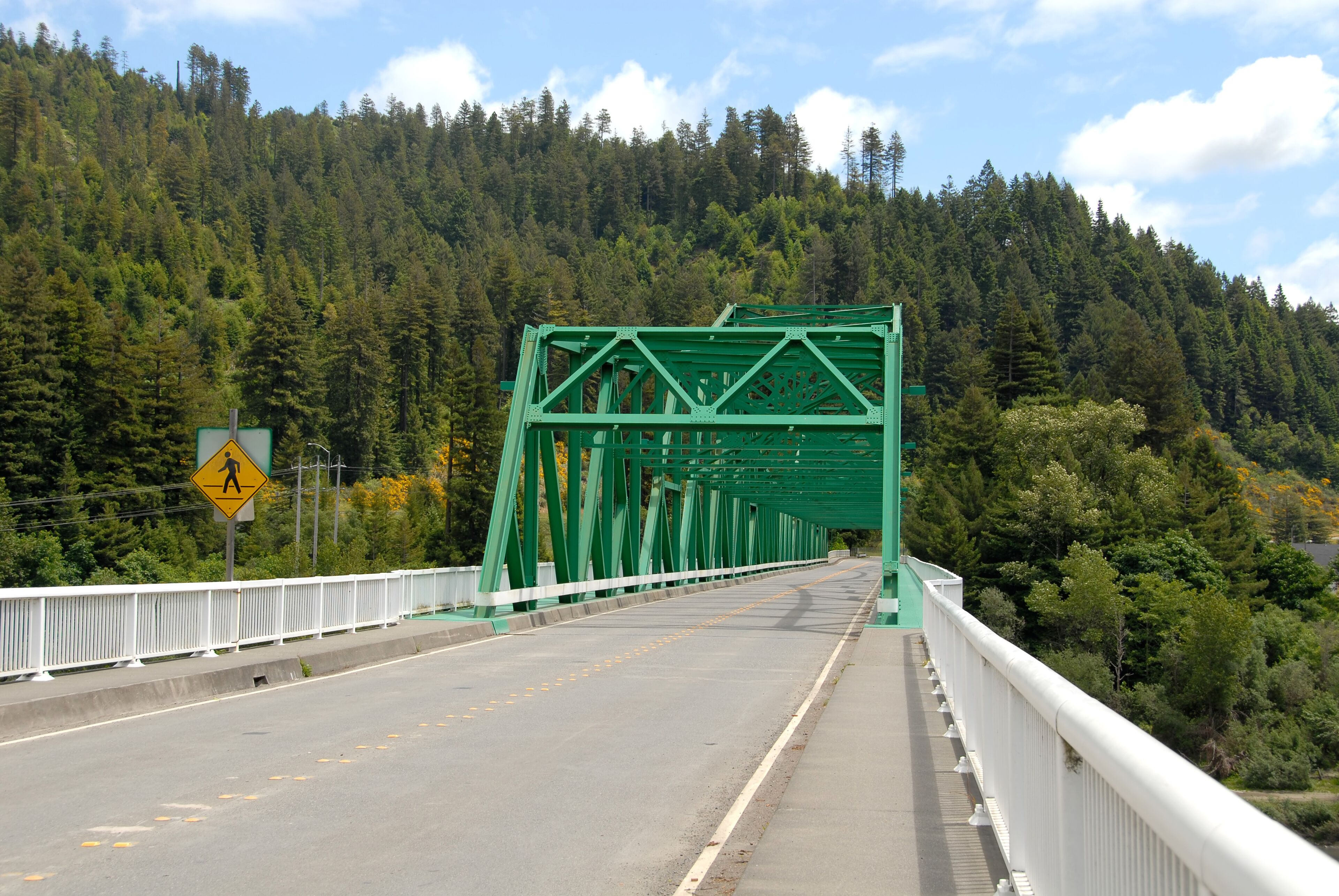 A green bridge with a pedestrian crossing sign, surrounded by dense forest.