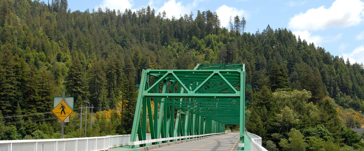 A green bridge with a pedestrian crossing sign, surrounded by dense forest.