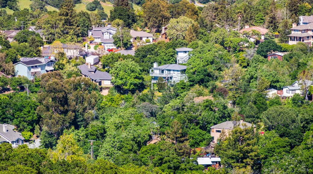 Aerial view of residential neighborhood; Redwood City; San Francisco bay area, California
