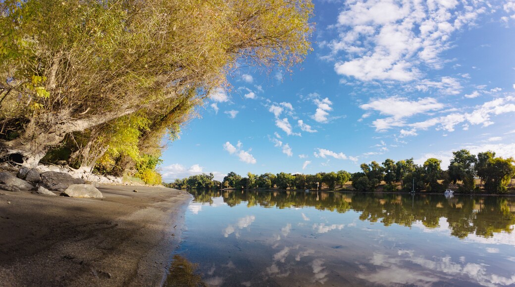 Sacramento river shoreline in fall