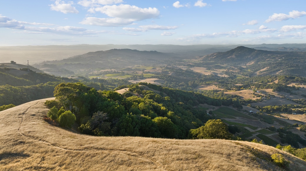 Aerial view of country road in Sonoma County on sunny day. Legendary vineyards defining California region as largest wine producer