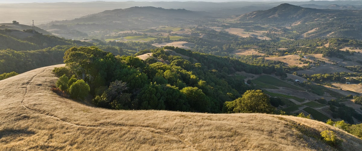 A panoramic view of a hilly landscape with dense forests, rolling hills, and distant mountains under a clear sky.