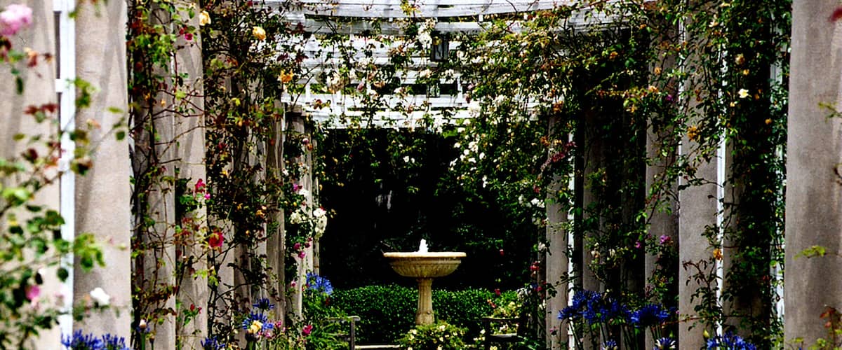 Manuscripts, early American art and flowers. All in one place!