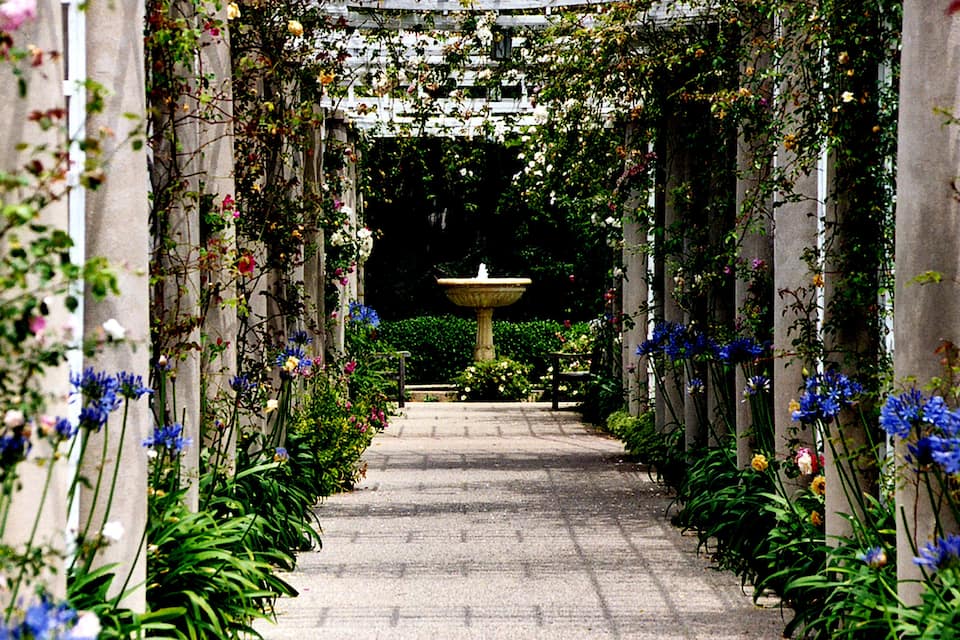 A stone pathway flanked by lush greenery and flowering plants, leading to a central fountain.