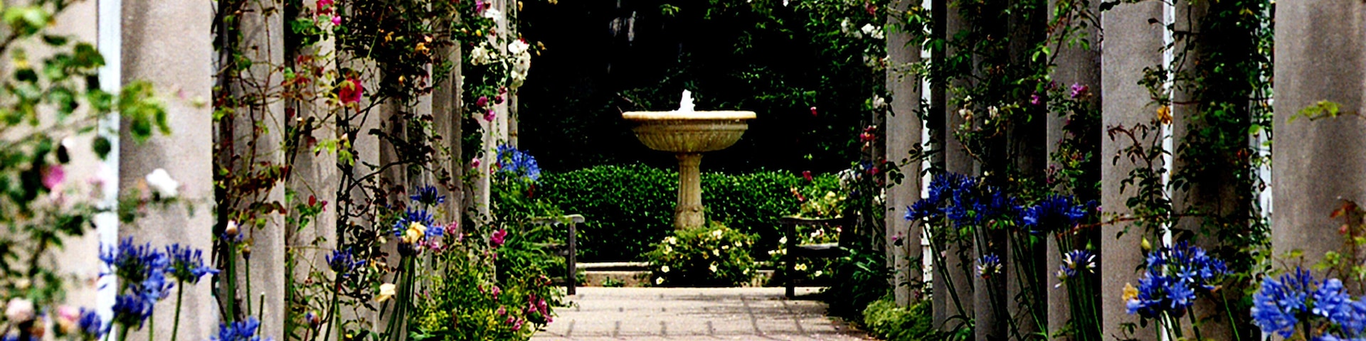 Manuscripts, early American art and flowers. All in one place!