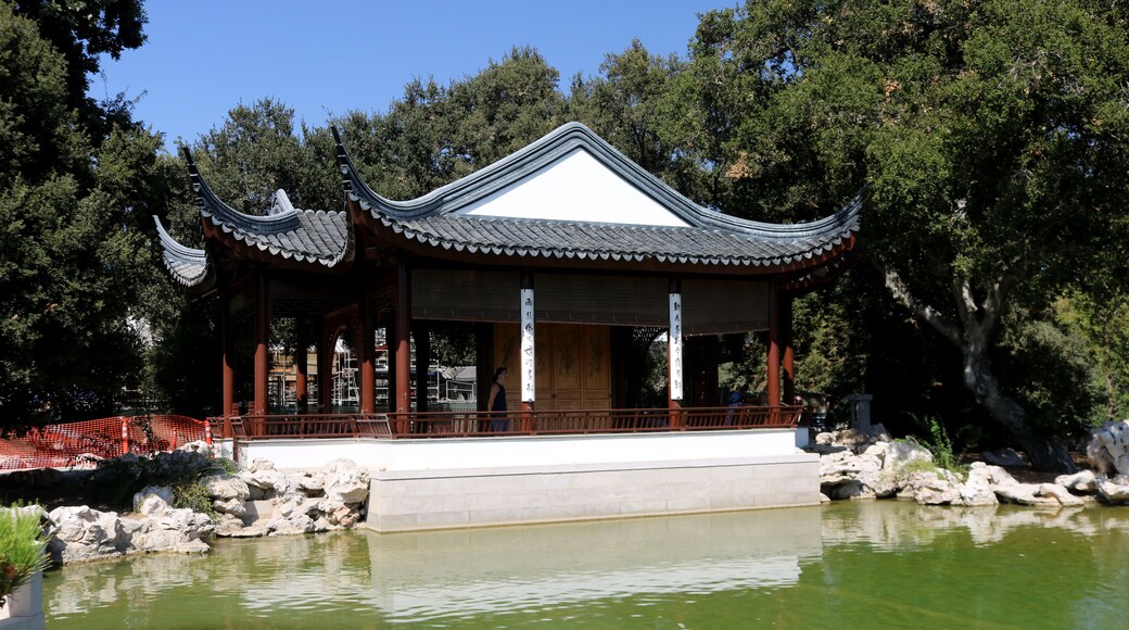 The Chinese garden beautiful place