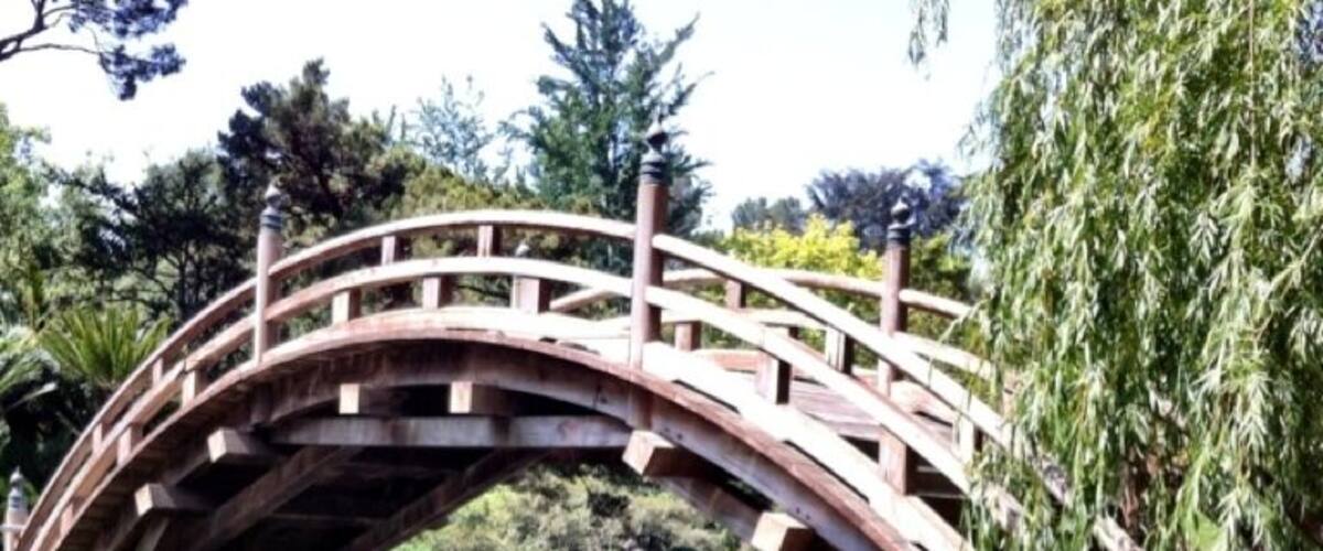 Foot bridge in Japanese garden