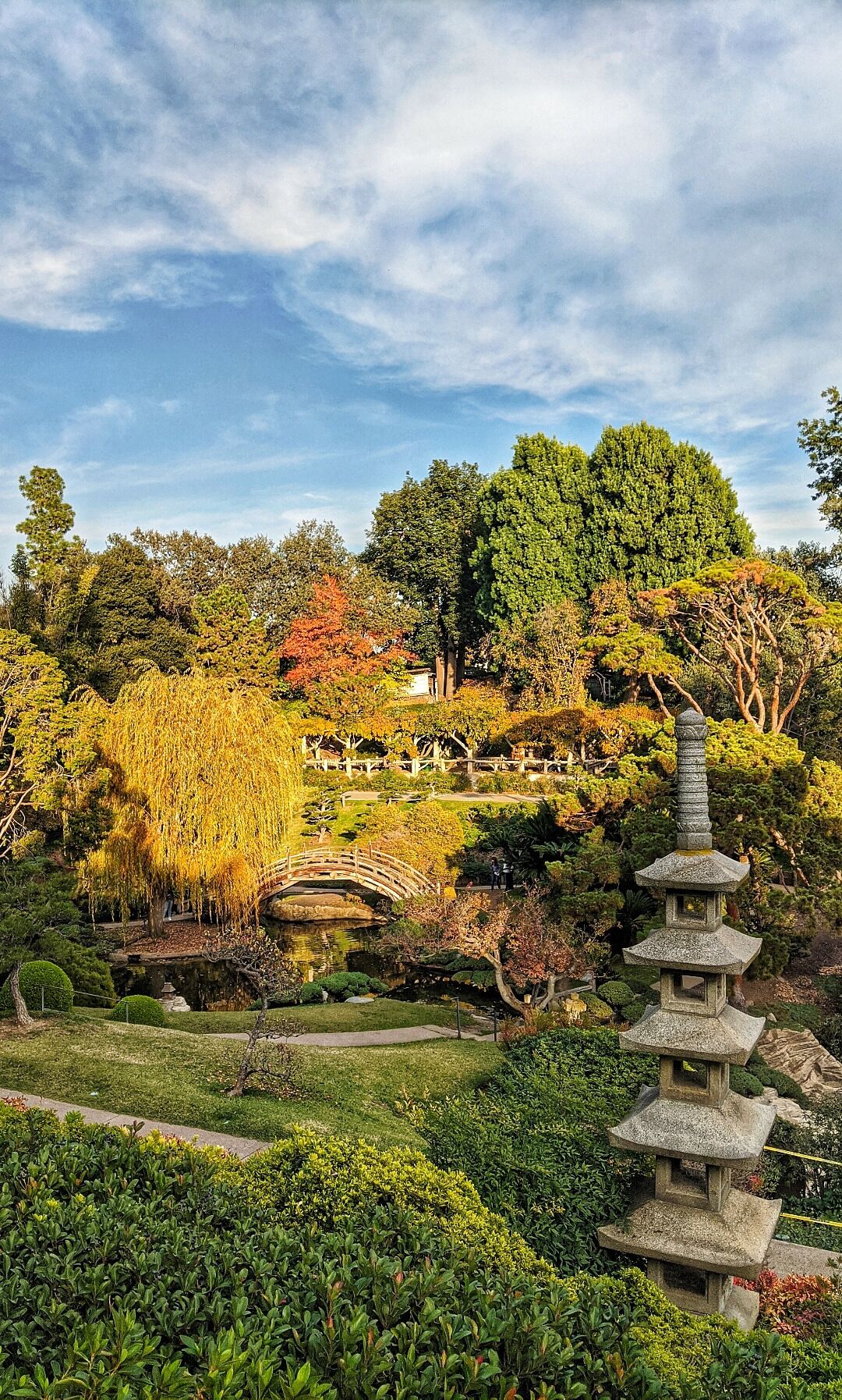 Beautiful Fall colors at Huntington Library. December is a unique time to visit because the colors are changing but the weather is still nice to be outside #Fall #California #nature #colors #colorful