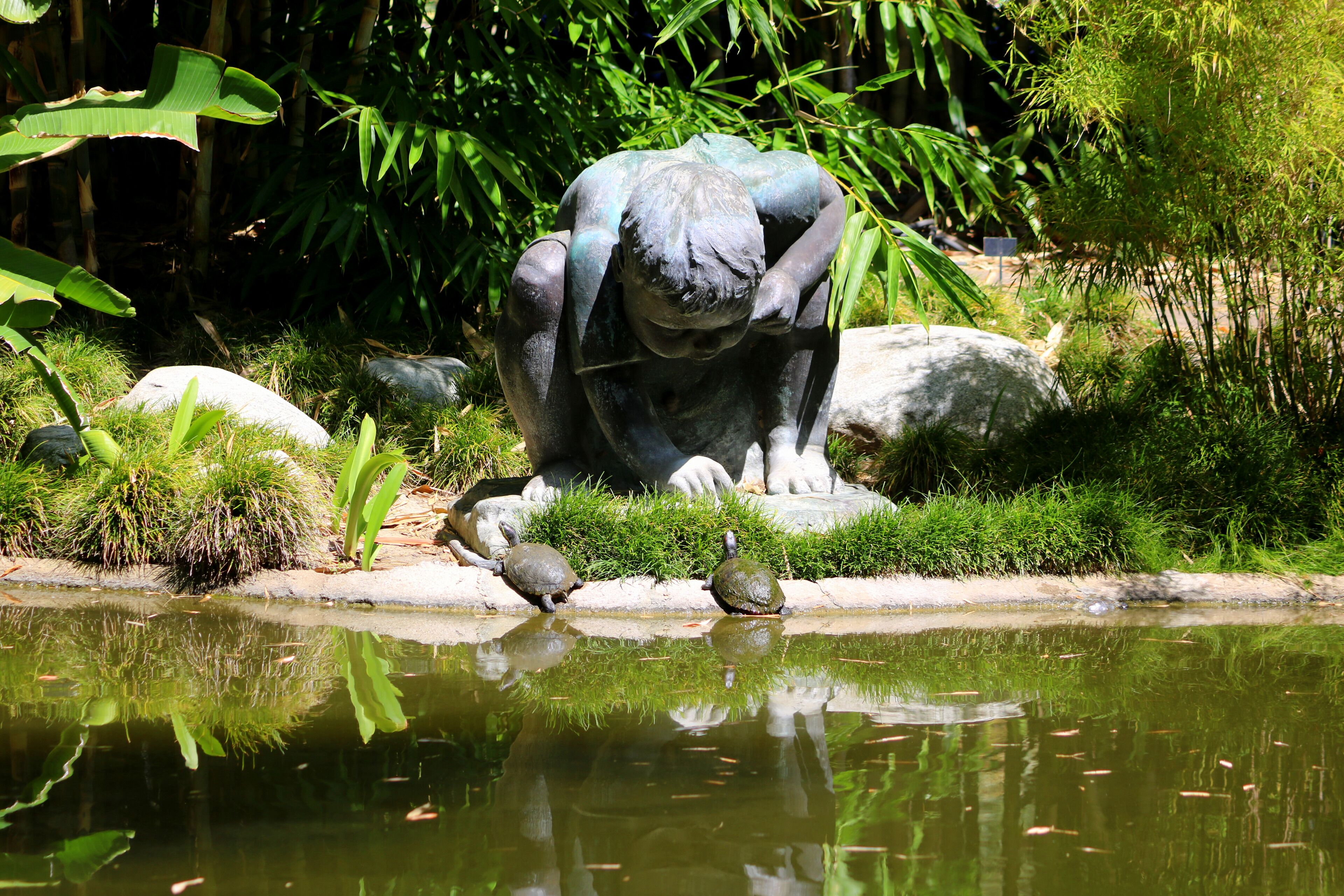 Looking at the  Turtles 🐢🐢😃