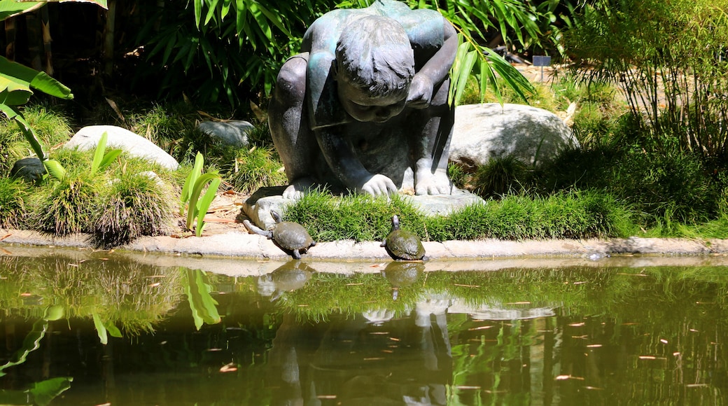 Looking at the Turtles 🐢🐢😃