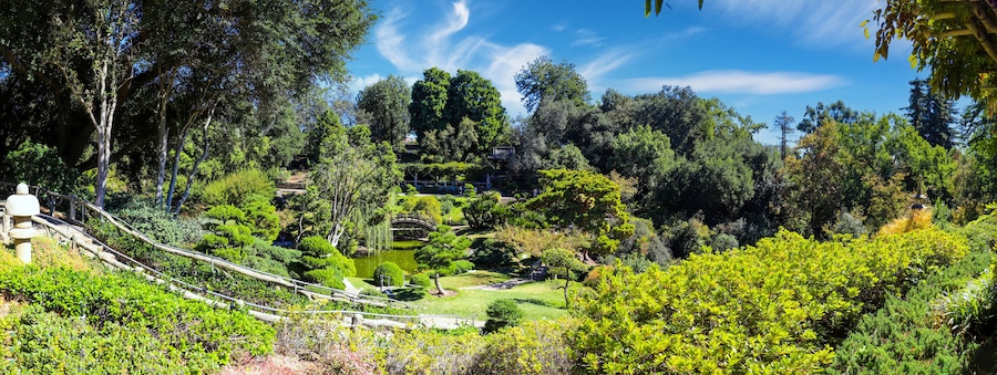 a stunning panoramic shot of the lush green hillside filled with green and autumn colored trees and plant with blue sky at Huntington Library and Botanical Garden in San Marino California USA