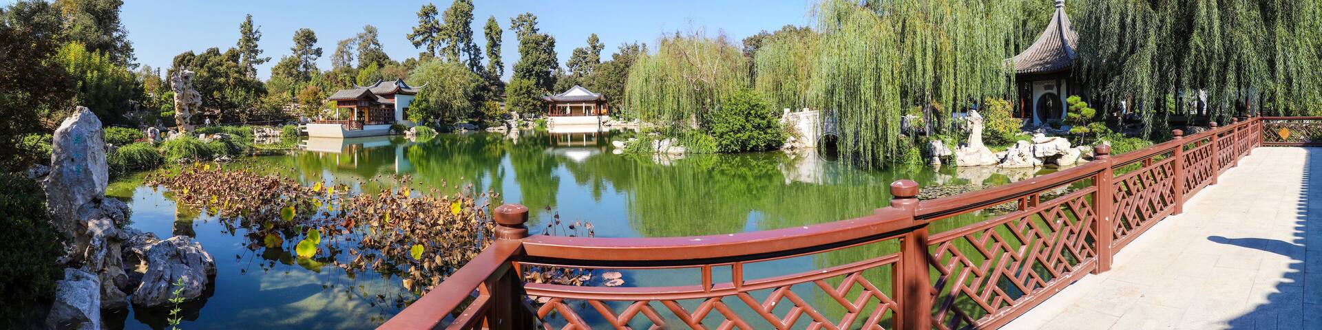 a stunning panoramic shot of the still green lake waters, weeping willows and other lush green trees reflecting off the lake at Huntington Library and Botanical Gardens in San Marino California USA