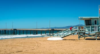 Beach Secure in Los Angeles