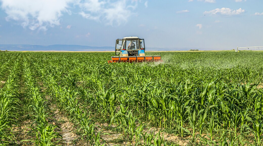Tractor in the field applies fertilizer to the soil